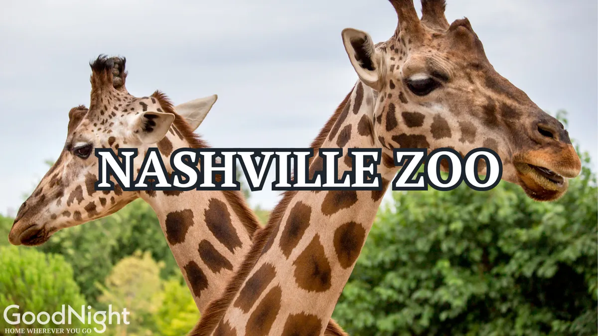 The image features giraffes in a green, leafy environment, representing the hands-on, family-friendly experience of the Nashville Zoo. The joyful mood and close animal encounters make it appealing for families with children.